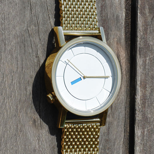 CT02-08(38mm) All Polished Gold Case & Mesh Band